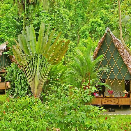 Finca Exotica Eco Lodge Carate Ngoại thất bức ảnh