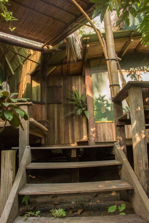 Finca Exotica Eco Lodge Carate Ngoại thất bức ảnh