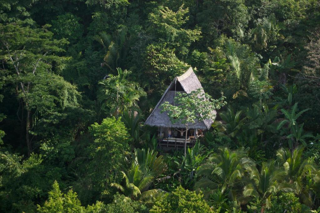 Finca Exotica Eco Lodge Carate Phòng bức ảnh
