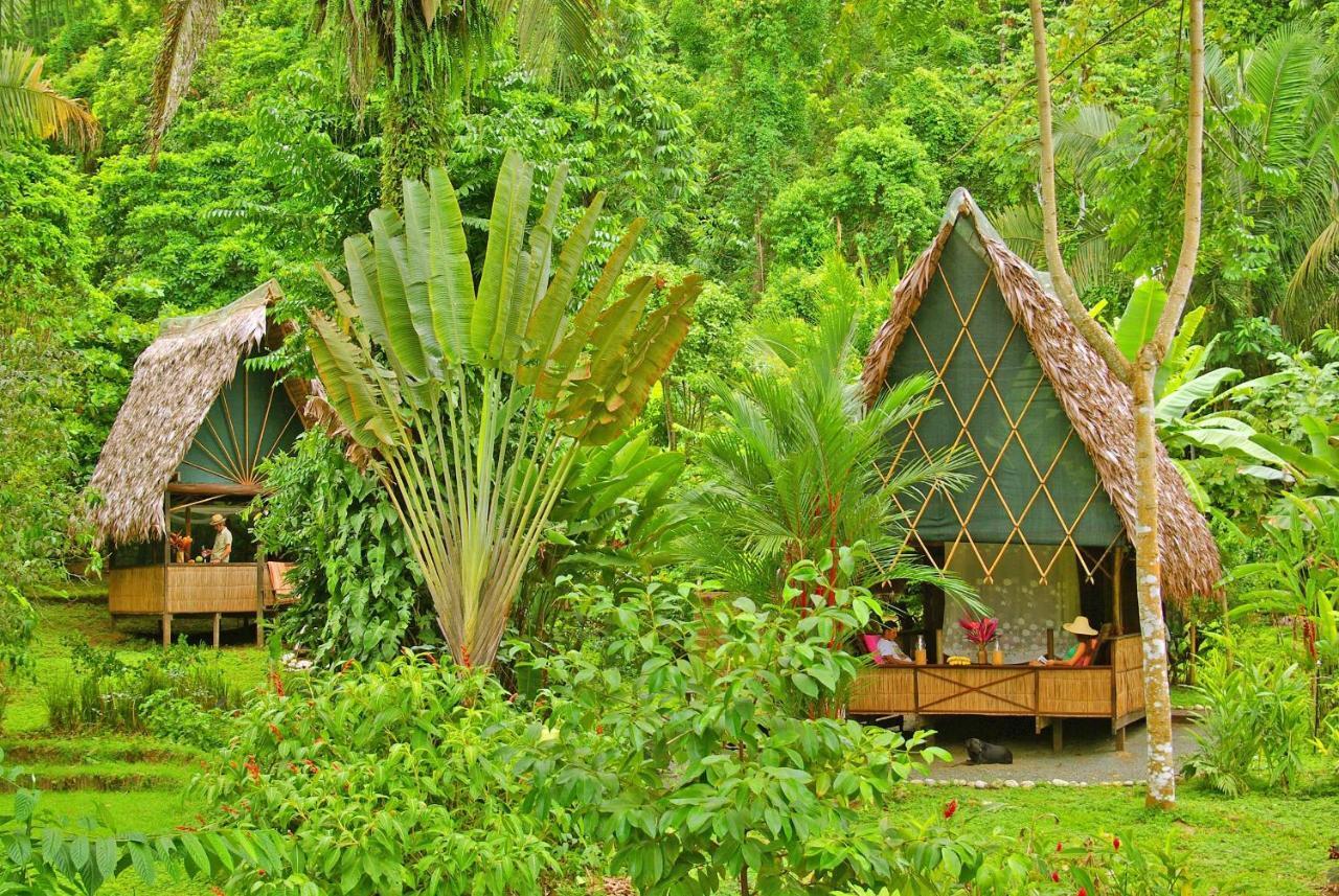 Finca Exotica Eco Lodge Carate Ngoại thất bức ảnh